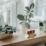 Wakacyjna Przygoda W Gdyni Apartmán *