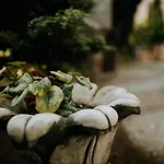 Wakacyjna Przygoda W Gdyni Gdyně