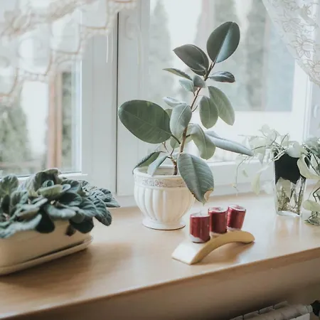 Wakacyjna Przygoda W Gdyni Lägenhet *