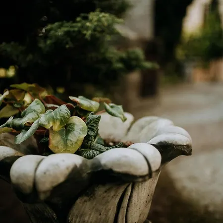 Wakacyjna Przygoda W Gdyni Gdynia