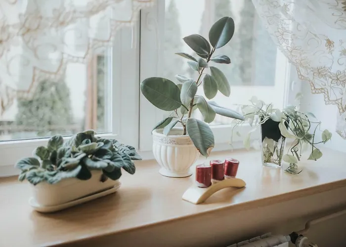 Wakacyjna Przygoda W Gdyni Apartamento *