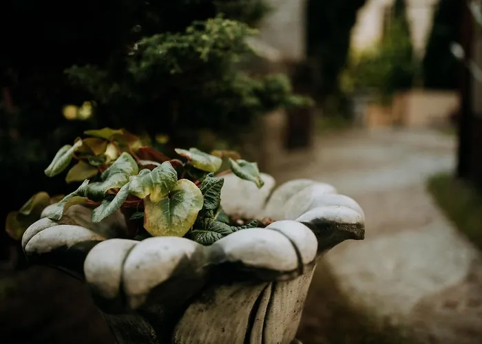 Wakacyjna Przygoda W Gdyni Gdynia